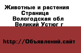  Животные и растения - Страница 2 . Вологодская обл.,Великий Устюг г.